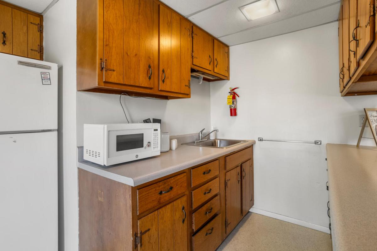 Kitchen Sink and Microwave