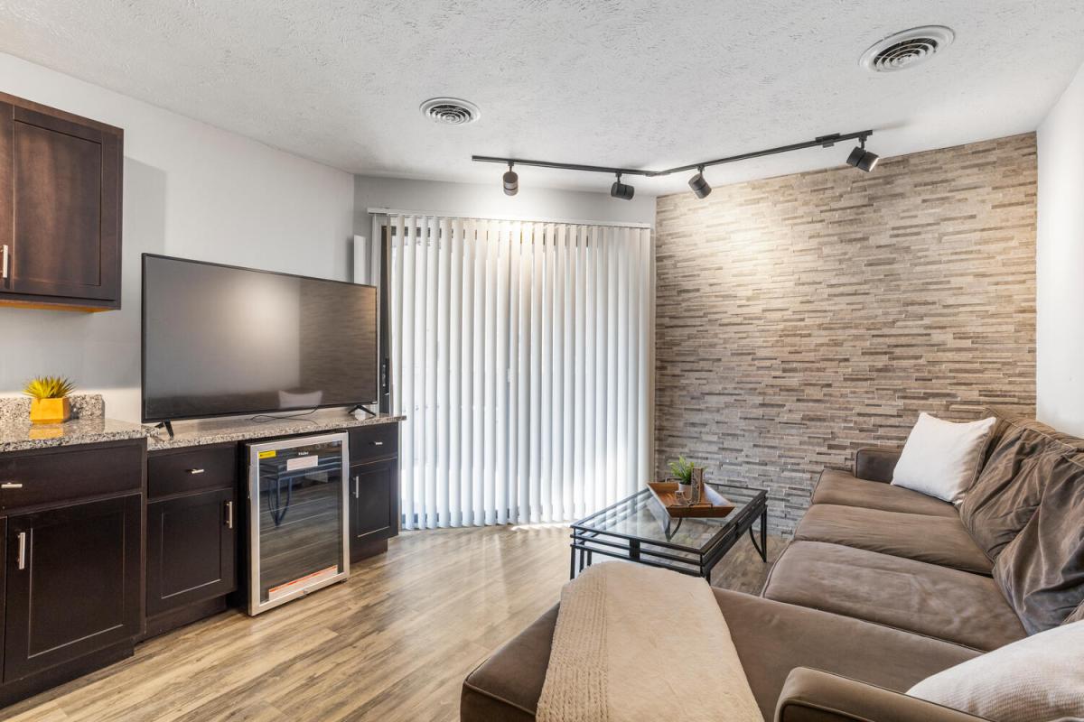 Living Room and Television